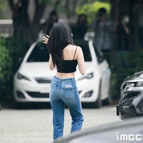 백지헌
