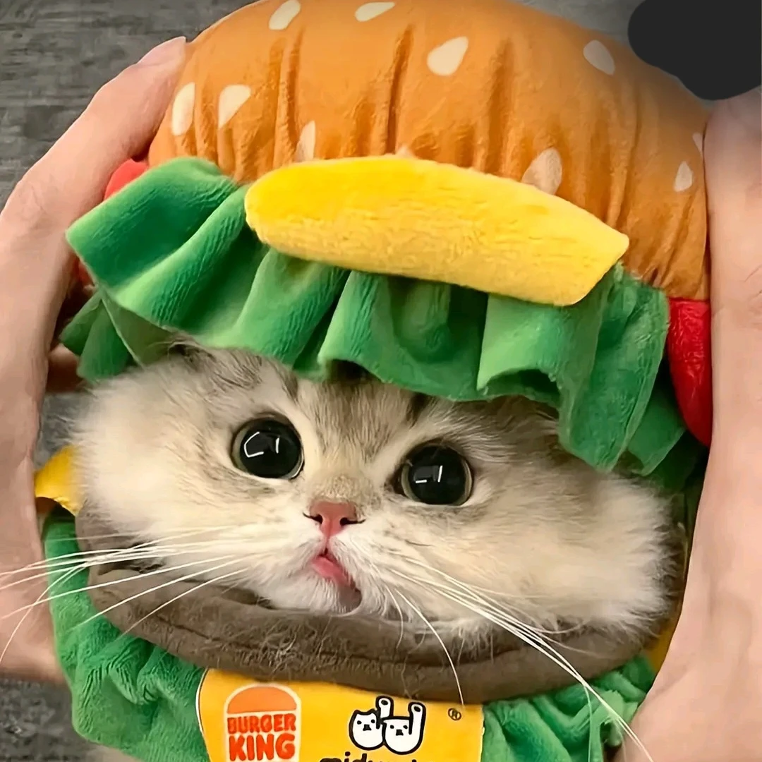 슝냥