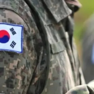 FaintLeaf7947의 대한민국군대RPG