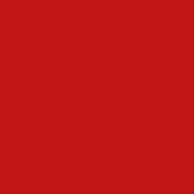 Profile image of トントン