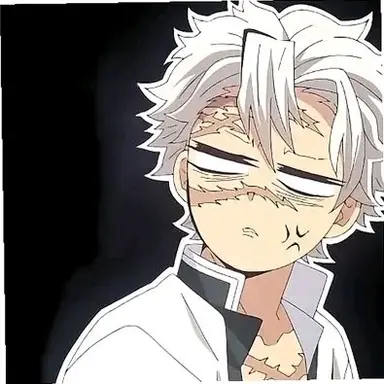 Profile image of 시나즈가와 사네미