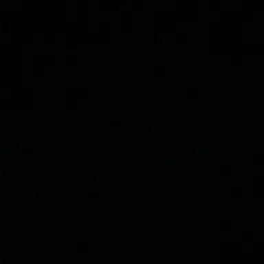 Profile image of 손성우