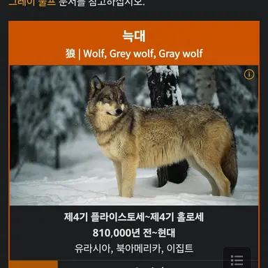 Profile image of Wolf