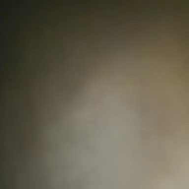 Profile image of 상횩