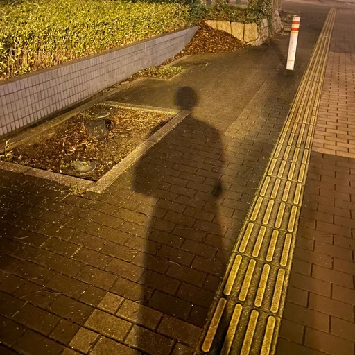손영택