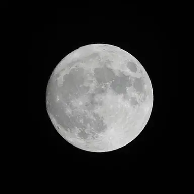 Profile image of シンのリスナー