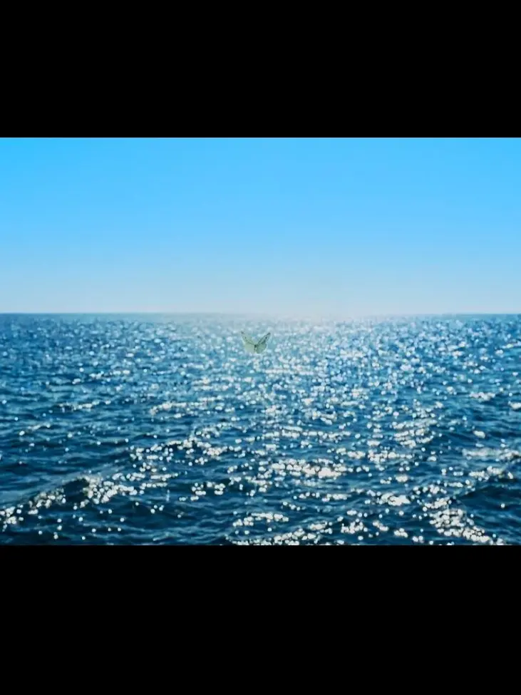 Zion.T의 海を忘れないで。