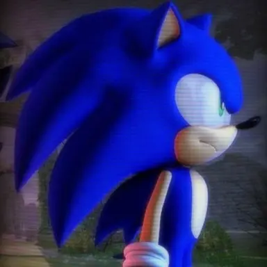 Profile image of ソニック