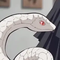 Profile image of 카부라마루