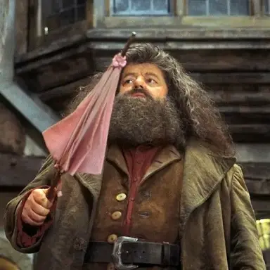 Profile image of Rubeus Hagrid
