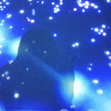 Profile image of 최강림