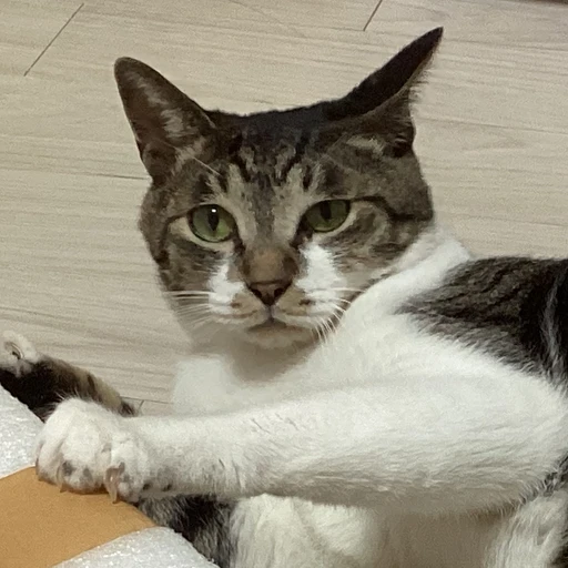 산다