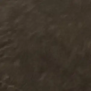 Profile image of 잠경위