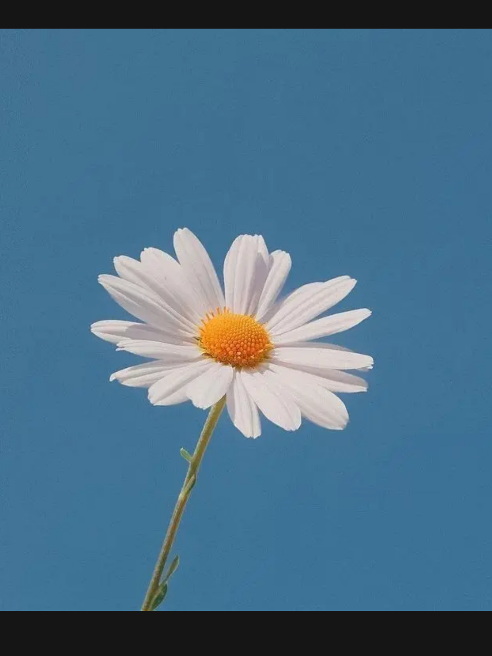 권지용 대표 이미지
