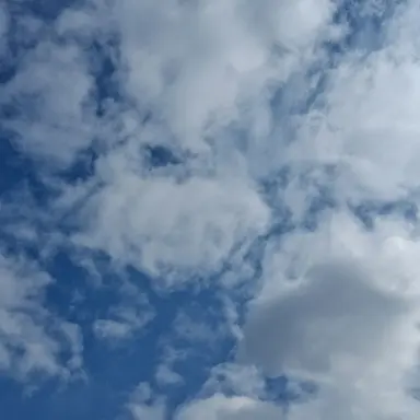 Profile image of 에드워드 켈렌