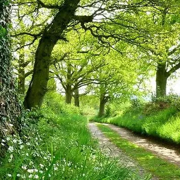 Miho_98의 트와일라잇