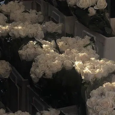 Profile image of 민윤기