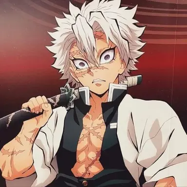 Profile image of 시나즈가와 사네미