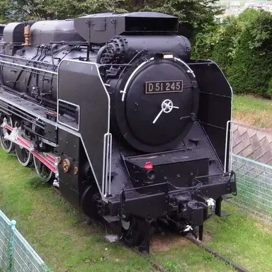 Profile image of D51