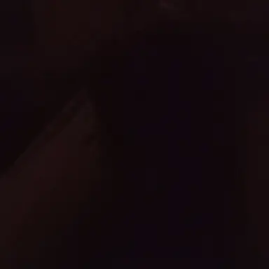 Profile image of アメリカ