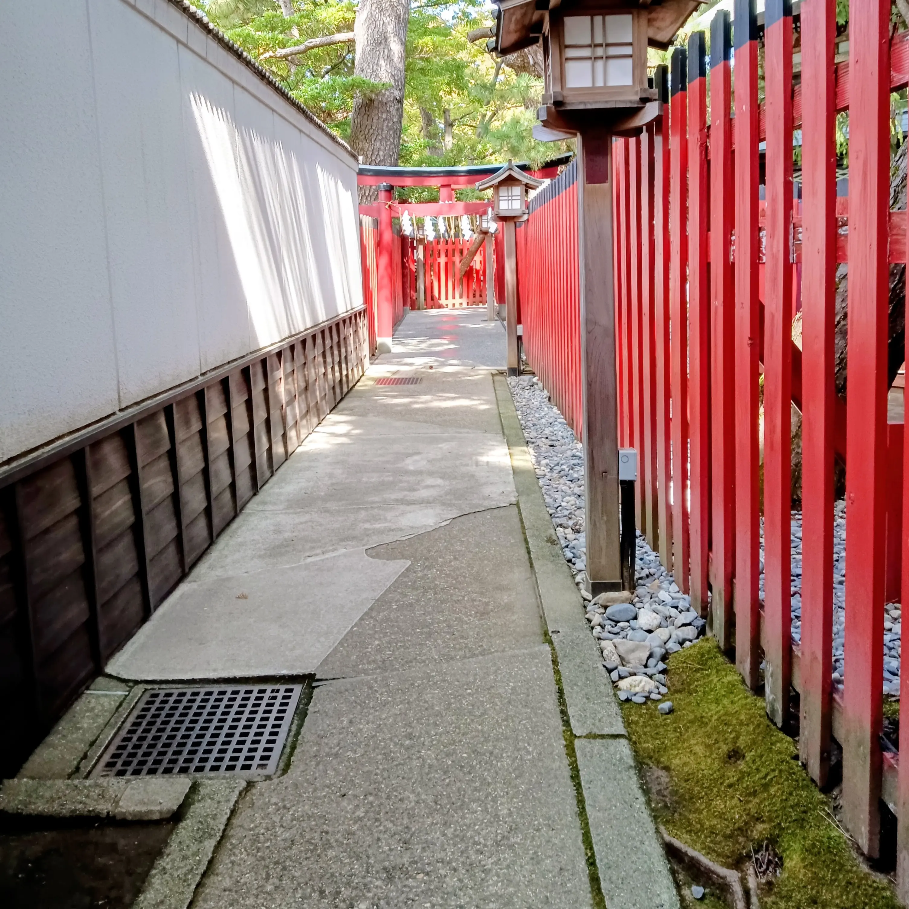 SuperbScrew8331의 神社に居ただけだよね、？！