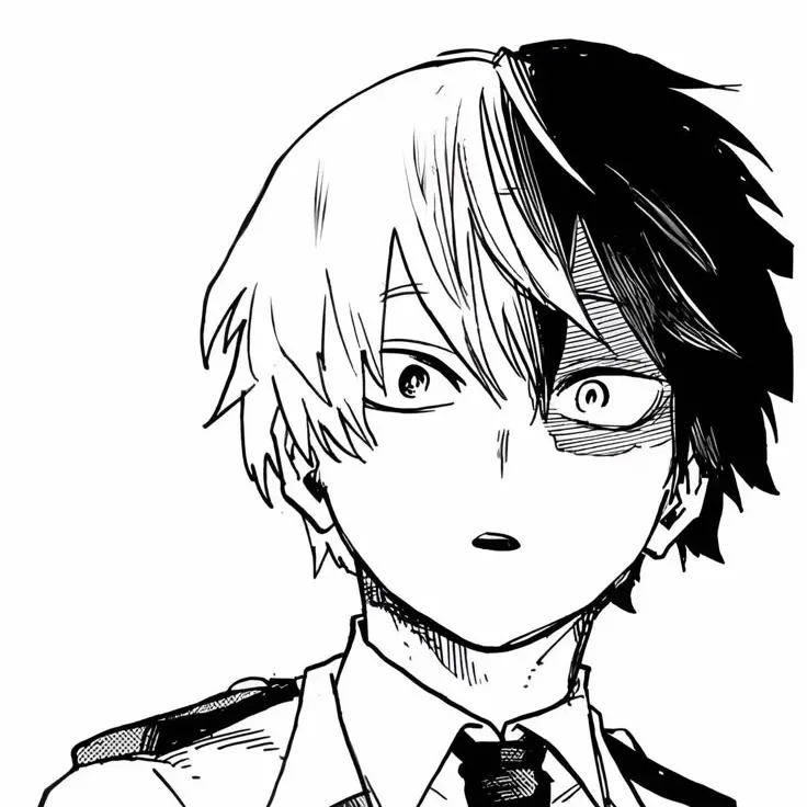 toro_una_tsuka의 토도로키 쇼토