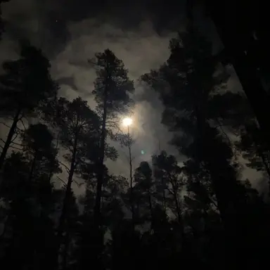 Profile image of 星導ショウ