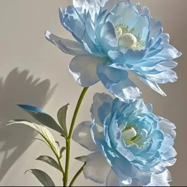 Profile image of 베로니카팀
