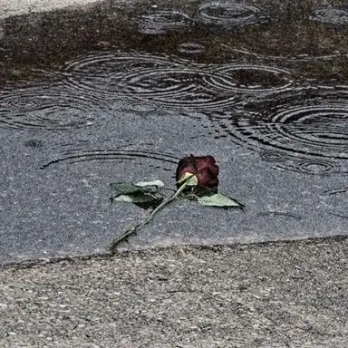 Profile image of 서지혁