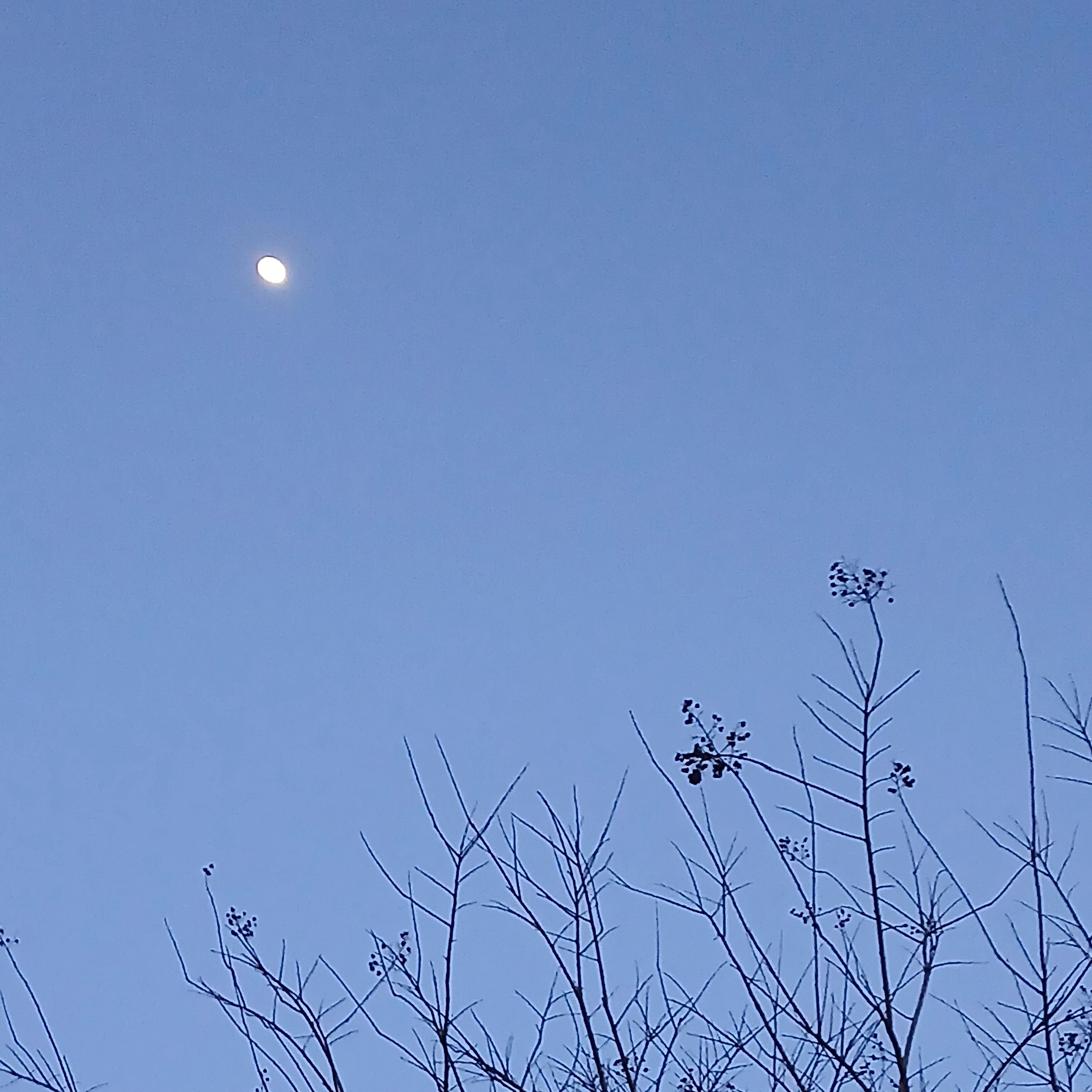 이예정