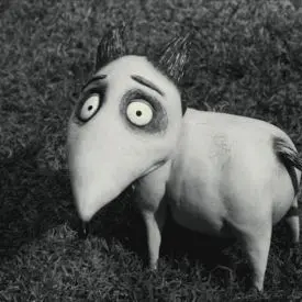 Profile image of Sparky