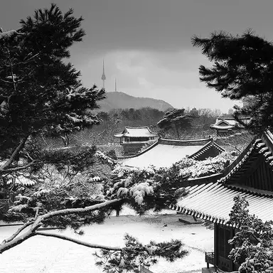 Profile image of 배영준