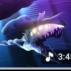 Profile image of CYN