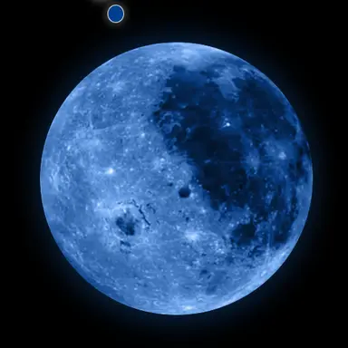 Profile image of 몬도