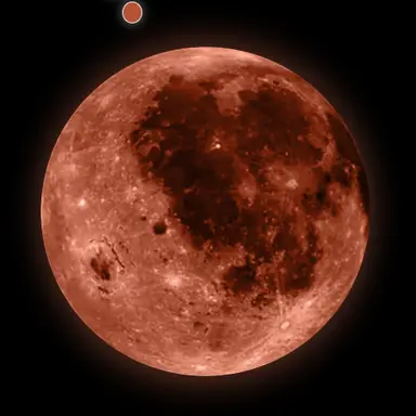 Profile image of 페인트