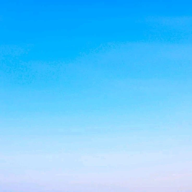 강민호