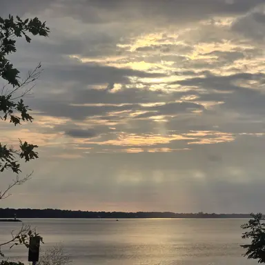 Profile image of Dust