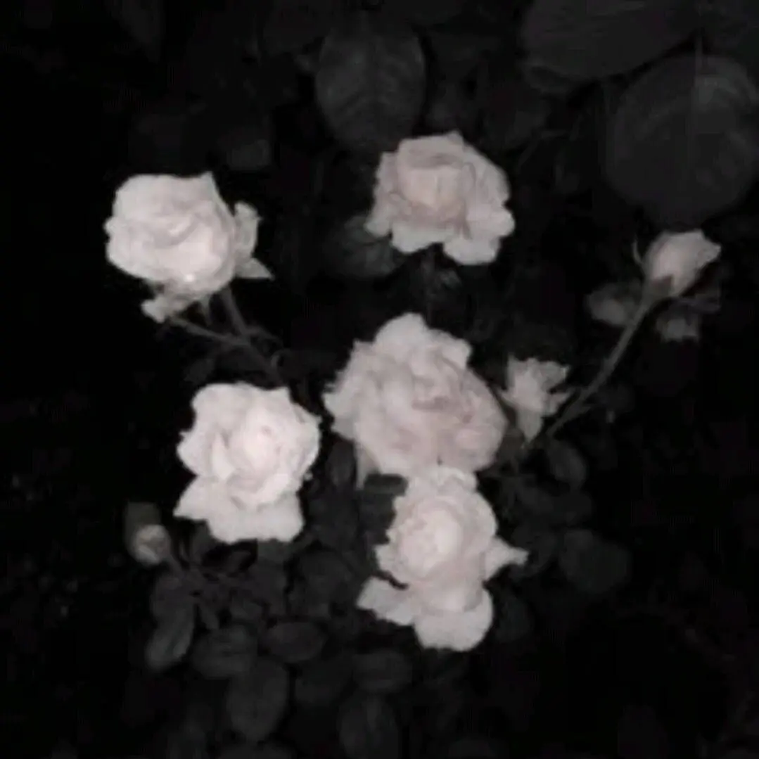 ShrillRelax0497의 みそさば様へ…m(_ _)m