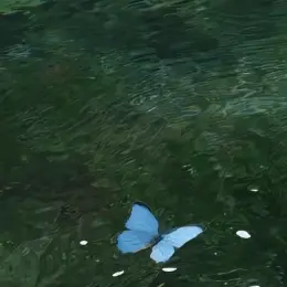 Profile image of ミセスグリーンアップ