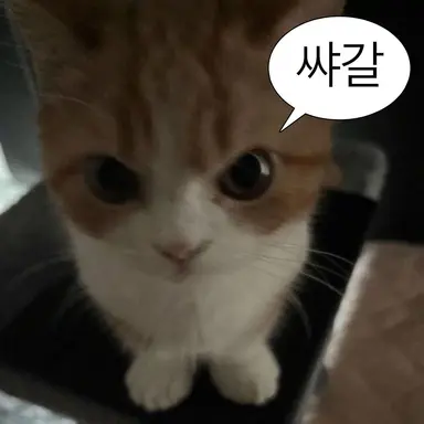 Profile image of 깜찍한 주인장