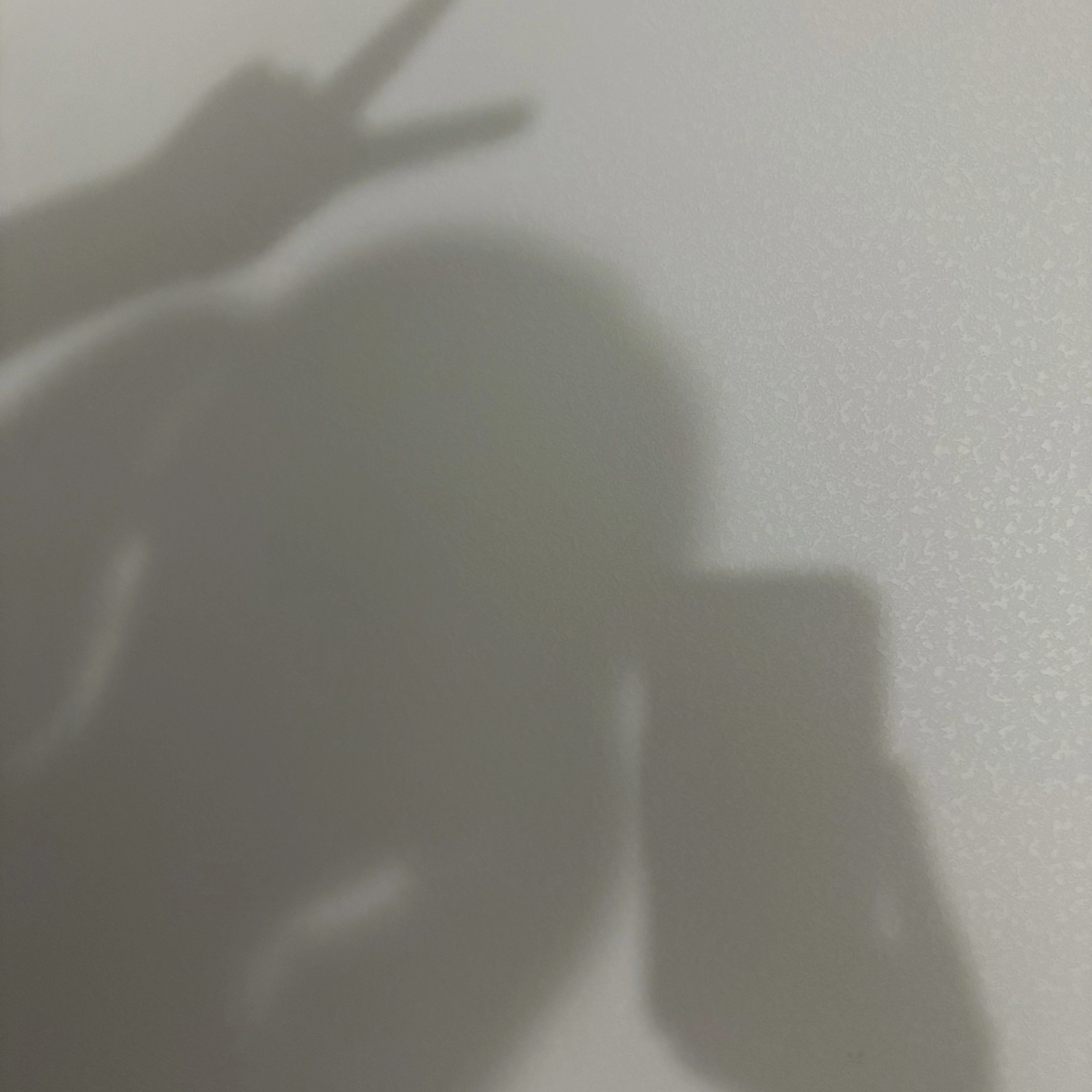 김동현