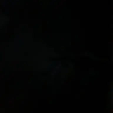 Profile image of 당신