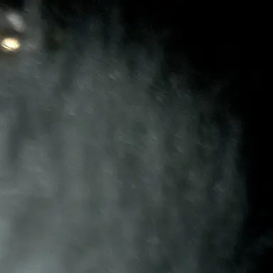 Profile image of 임 현진