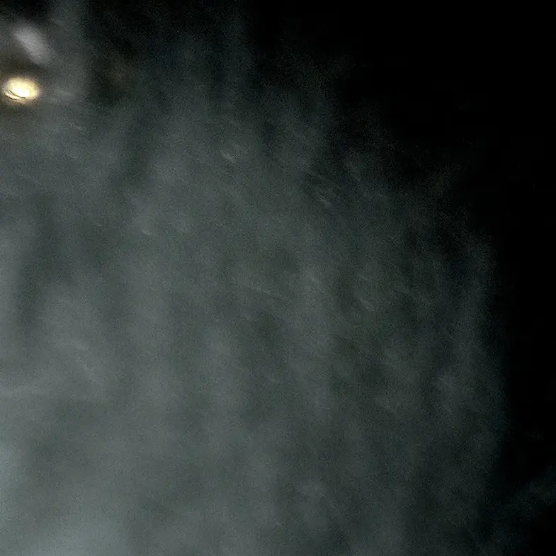 Pipye_Zzang의 임 현진