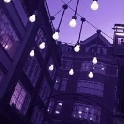 Honney_bear의 황수현