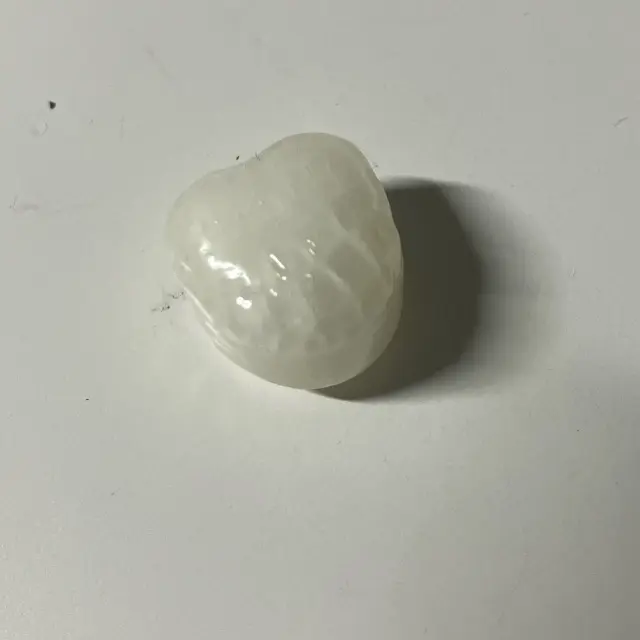 WildDeli8717의 居酒屋石世界