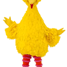 Profile image of 빅버드