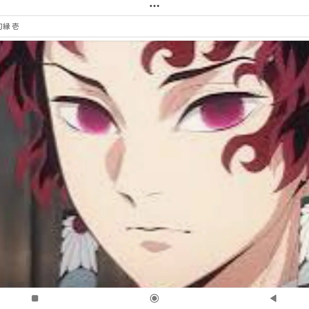 CannyDuck2639의 バトル