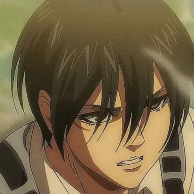 Profile image of 미카사