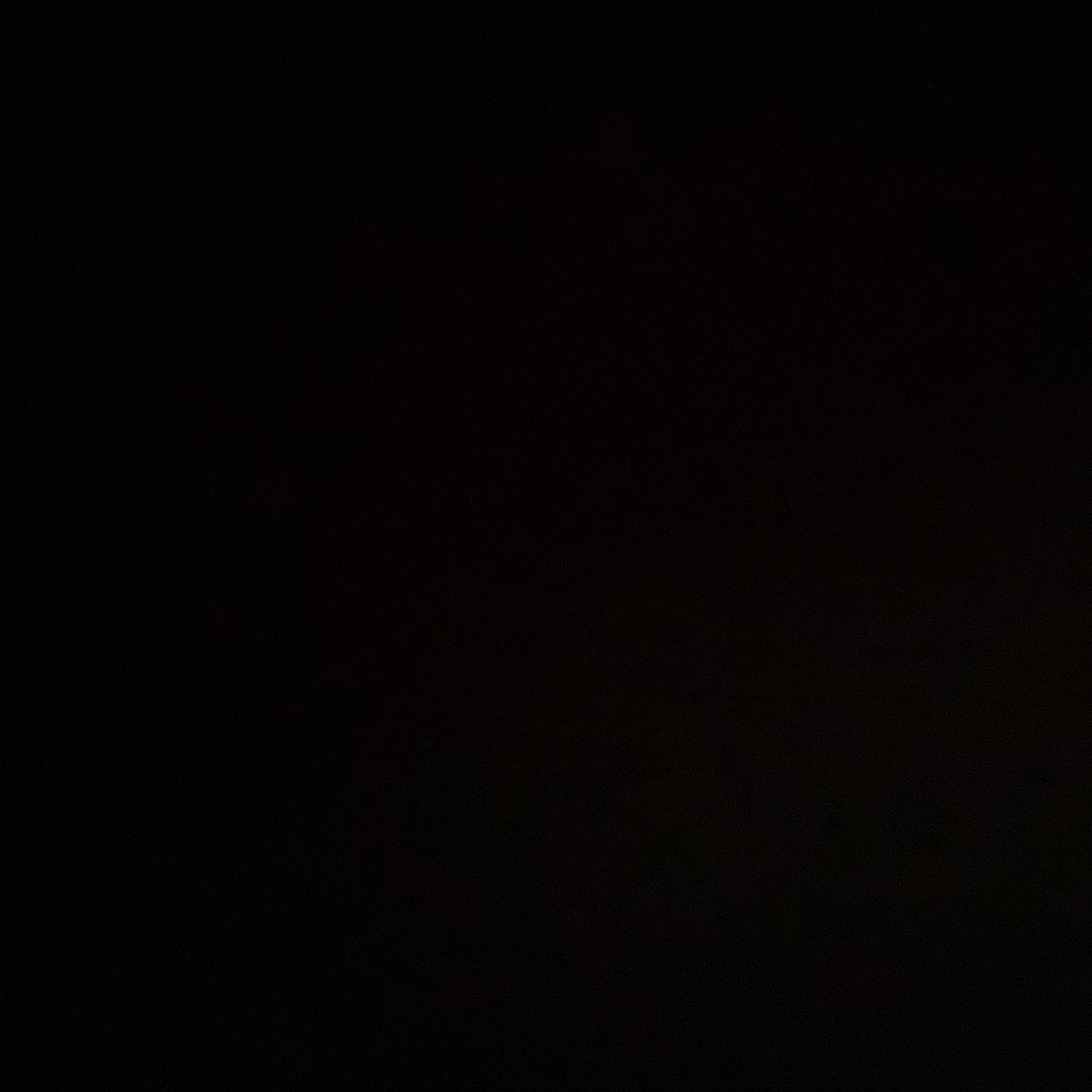 신성한